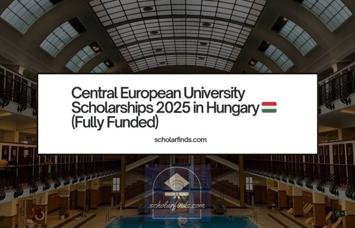 Central European University Scholarships